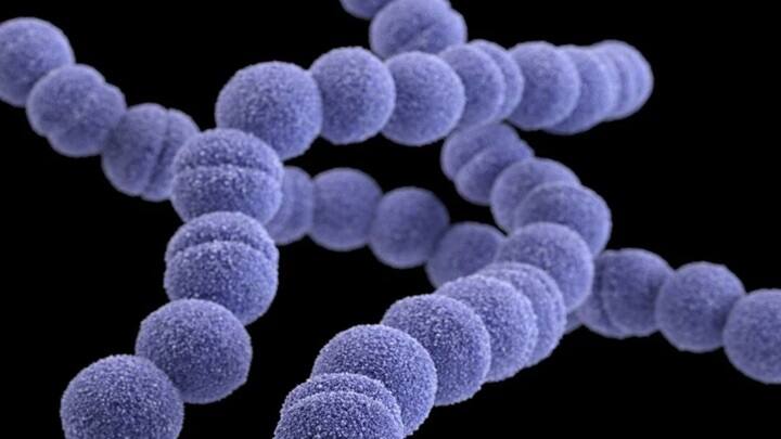 Flesh eating rare bacteria kills human in 48 hours spreads in Japan know more details here STSS: 