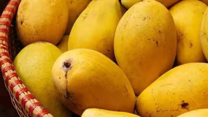 इसके अलावा जब आप आम खरीदने जाएं. तो आम के छिलके पर जरूर गौर करें. अगर छिलके पर किसी तरह का दाग दिखाई दे तो फिर उसमें कैमिकल का इस्तेमाल किया गया है.