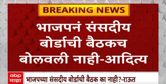 Sanjay Raut On BJP : भाजपच्या संसदीय बोर्डाची बैठक का झाली नाही? संजय राऊतांची टीका