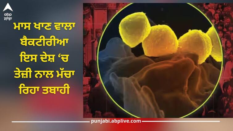 japan flesh eating bacteria that spread fast kills in two days dangerous disease read this Dangerous Disease: ਦੁਨੀਆ ਲਈ ਖਤਰੇ ਦੀ ਘੰਟੀ! ਇਸ ਦੇਸ਼ 'ਚ ਮਾਸ ਖਾਣ ਵਾਲੇ ਬੈਕਟੀਰੀਆ ਨੇ ਮਚਾਈ ਦਹਿਸ਼ਤ, 48 ਘੰਟੇ ਦੇ ਅੰਦਰ ਲੈ ਲੈਂਦਾ ਜਾਨ, ਜਾਣੋ ਕਿੰਨੀ 'ਖਤਰਨਾਕ' ਇਹ ਬਿਮਾਰੀ