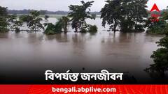 প্রবল বৃষ্টিতে জলের তলায় চাষের জমি, জলমগ্ন আলিপুরদুয়ারের একাধিক এলাকা