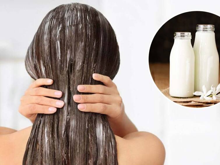 Hair Care Tips make hair strong long and shiny with milk know how to use Hair Care Tips: ਕੀ ਦੁੱਧ ਦੀ ਵਰਤੋਂ ਕਰਨ ਨਾਲ ਵਾਲ ਹੁੰਦੇ ਹਨ ਮਜ਼ਬੂਤ ​​ਅਤੇ ਚਮਕਦਾਰ?, ਜਾਣੋ ਕੀ ਕਹਿੰਦੀ ਹੈ ਸਾਇੰਸ