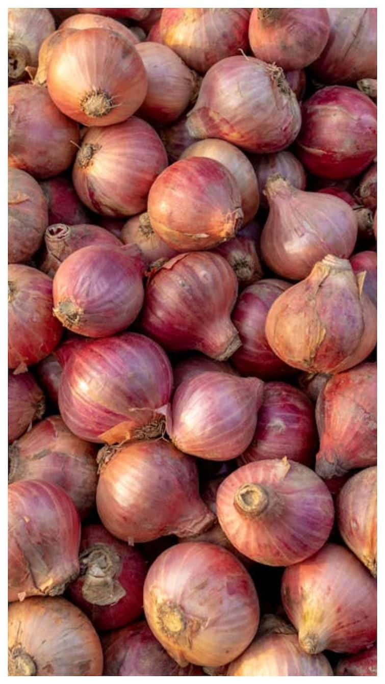 benefits of eating raw onion boon for men Raw onion benefits: ਬਹੁਤੇ ਲੋਕ ਨਹੀਂ ਜਾਣਦੇ ਕੱਚਾ ਪਿਆਜ਼ ਖਾਣ ਦੇ ਫਾਇਦੇ...ਬੰਦਿਆਂ ਲਈ ਵਰਦਾਨ