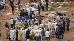 Bakrid: बकरीद पर UP में हाई अलर्ट, मध्य प्रदेश-महाराष्ट्र में कुर्बानी के लिए बनी गाइडलाइंस, सोशल मीडिया पर भी रहेगी पुलिस की नजर