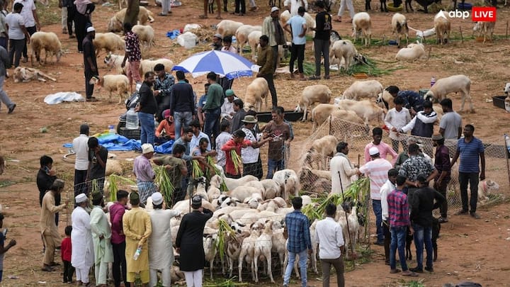 Bakrid 2024 Guidelines: बकरीद के त्योहार से पहले यूपी में हाई अलर्ट घोषित कर दिया गया है. पुलिस ने सुरक्षा के पूरे इंतजाम किए हैं. इस दौरान फेसबुक, एक्स, इंटग्राम और व्हाट्सएप पर भी निगरानी की जाएगी.