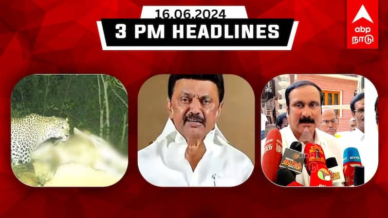 Tamilnadu headlines Latest News June 16th 3 PM headlines Know full updates here TN Headlines:சூடுப்பிடிக்கும் விக்கிரவாண்டி இடைத்தேர்தல் களம்;சேலத்தில் சிறுத்தை நடமாட்டம் - தமிழ்நாடு ரவுண்ட் அப்!