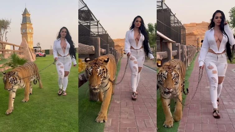 दुबई में खुलेआम बाघ घुमाती नजर आई ये हसीना! वायरल वीडियो ने सोशल मीडिया पर मचाई सनसनी