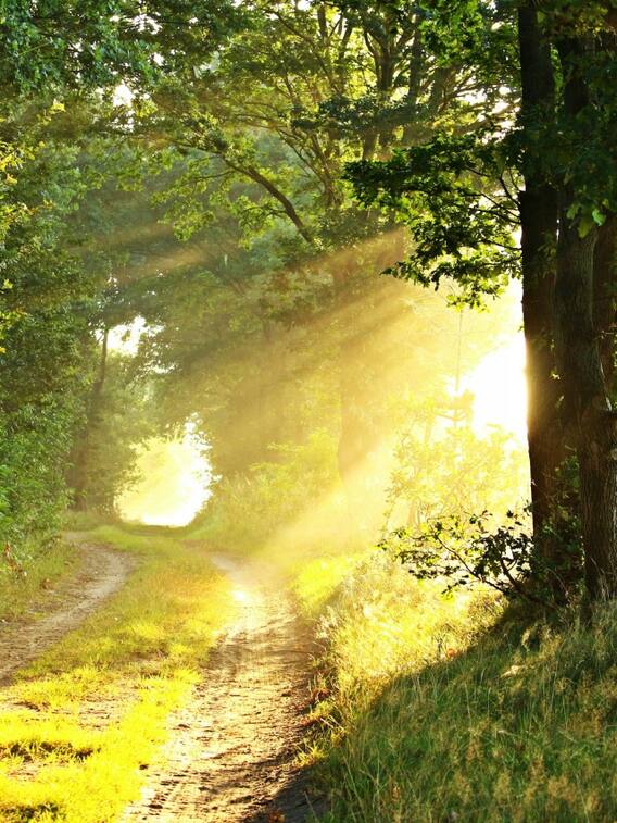 सूरज की रौशनी में कितने रंग होते हैं