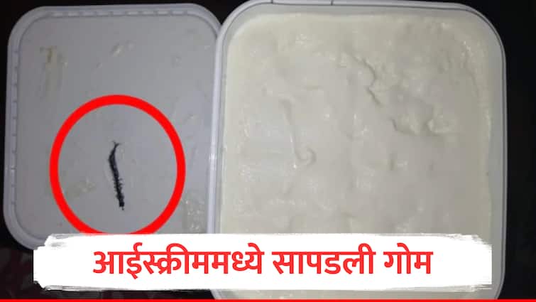 found centipede in ice cream waiting for amul ice cream Company response After shocking incident of Human Finger in Icecream Marathi News आता आईस्क्रीममध्ये सापडली गोम, महिलेचा अमूल कंपनीवर गंभीर आरोप; VIDEO VIRAL