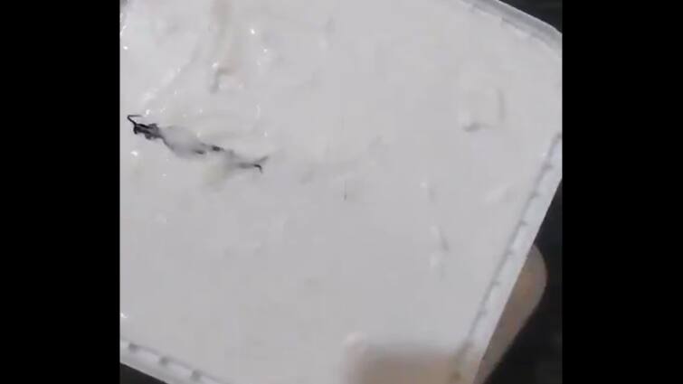 Noida Woman Finds Centipede In Ice Cream Tub Ordered Online Noida Woman Finds 'Centipede' In Ice Cream Tub Ordered Online: Watch