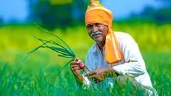 इस दिन जारी होने वाली है पीएम किसान स्कीम की 17वीं किस्त, नोट कर लें तारीख