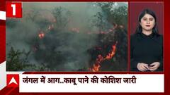 Top News जम्मू कश्मीर के बाली-तिर्शी जंगल में लगी भीषण आग , काबू पाने की कोशिश जारी