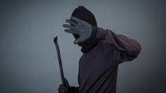 नोएडा: अंतर्राराज्यीय चोर गैंग का पर्दाफाश, 6 गिरफ्तार, 2 पुलिस को चकमा देकर फरार