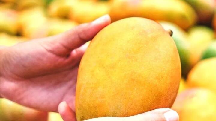 आप बाजार में आम खरीदते वक्त आम को छूकर ही पता कर सकते हैं कि आम में मिलावट है या नहीं. अगर आप आम को जब हाथ में लेके चेक करते हैं. अगर आम में आपकी उंगली धंस जाती है. तो समझिए आम सही नहीं है.