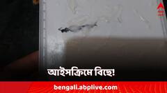 আইসক্রিমের মধ্যে ভয়াবহ কীট! ঢাকনা খুলতেই আতঙ্কে কাঁটা ক্রেতা