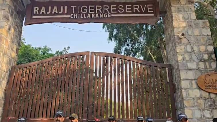 haridwar rajaji tiger reserve gate closed for tourist on 15th june on monsoon session ann Rajaji Tiger Reserve: राजाजी टाइगर रिजर्व में पर्यटकों की नो एंट्री, 15 जून से सभी गेटों को किया बंद