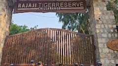 राजाजी टाइगर रिजर्व में पर्यटकों की नो एंट्री, 15 जून से सभी गेटों को किया बंद
