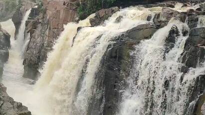 Disappointment of Monsoon-Decreasing water flow in Cauvery-Workers upset. பருவமழை ஏமாற்றம் - காவிரியில் சடசடவென குறையும் நீர்வரத்து -தொழிலாளர்கள் அப்செட்