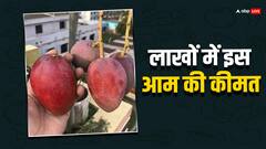 इस एक किलो आम का रेट बुलेट बाइक के बराबर, फिर भी इसकी डिमांड खूब