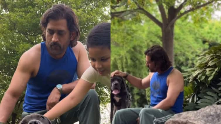 MS Dhoni Daughter Ziva Shares Video On Instagram Fathers Day 2024 Chennai Super Kings IPL 2024 MS Dhoni's Daughter Ziva Shares Cute Video On Instagram On Father's Day- WATCH