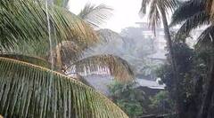 राज्यातील 'या' भागात पावसाचा यलो अलर्ट