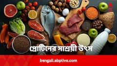 সাশ্রয়ী এইসব খাবারই প্রোটিনের ভরপুর উৎস, পেশি গঠন ছাড়াও এনার্জির ভাণ্ডার