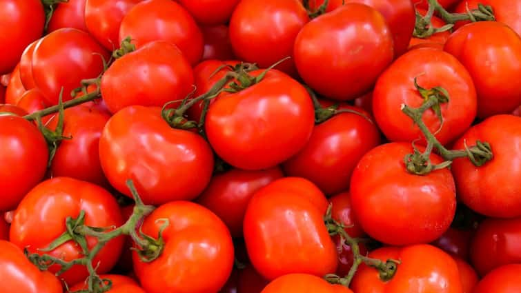 These are the health benefits of adding tomatoes to your diet daily Health Benefits of Tomato: టమోటా పండా లేదా కూరగాయనా? అది ఎందుకంత ఆరోగ్యకరం? దీనిపై శాస్త్రవేత్తలు ఏం చెప్పారంటే..