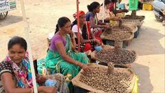 मानसून की दस्तक के साथ बाजारों में बिकने लगी बेशकीमती बोड़ा सब्जी, हजारों रुपये प्रति किलो है कीमत!