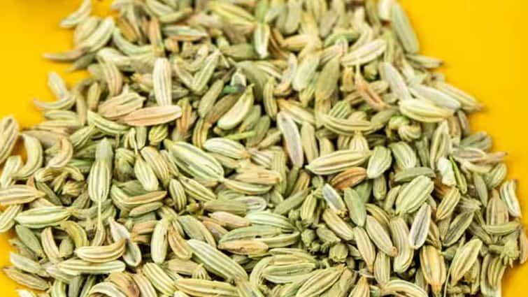 benefits and side effects of eating fennel seeds જમ્યા બાદ વરિયાળી ખાવાના ફાયદા છે કે નુકસાન? આ છે જવાબ