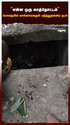என்ன ஒரு காத்தோட்டம்  போதையில் கால்வாய்க்குள் படுத்துறங்கிய நபர்