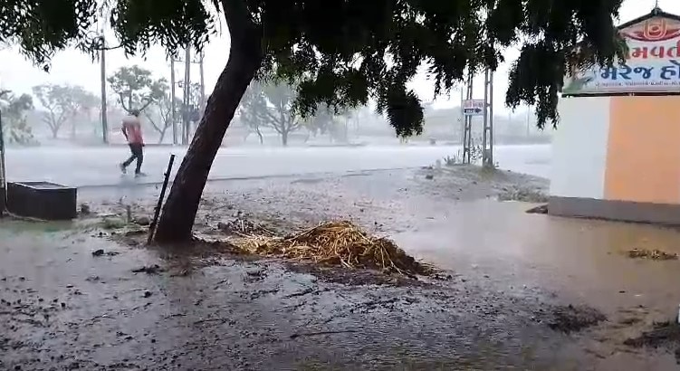 Amreli Rain: અમરેલી જિલ્લામાં મેઘમહેર, લાઠી, લીલીયા બાદ બાબરામાં ધોધમાર વરસાદ