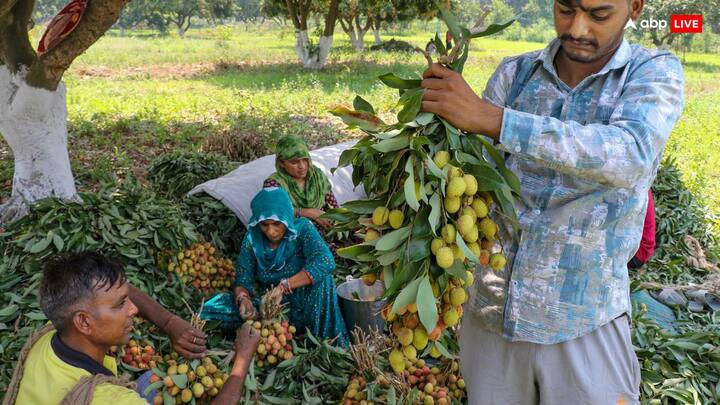 पीएम 30 हजार कृषि सखियों को सम्मानित करेंगे. इनमें पूर्वी यूपी की पांच किसानों को वह प्रमाणपत्र सौंपेंगे.