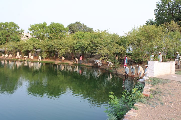 कार्यक्रम के दौरान बंदियों में बेहद उत्साह देखा गया.गेंती, फावड़ा और तसला लेकर बंदियों ने जेल के तालाब की साफ-सफाई की.