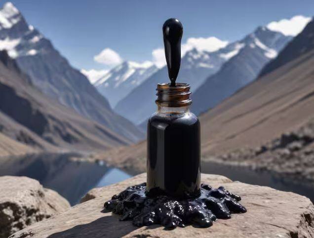 ਸਰਦੀਆਂ ਵਿੱਚ ਸਾਹ ਦੀ ਸਮੱਸਿਆ ਵੱਧ ਜਾਂਦੀ ਹੈ। ਅਜਿਹੀ ਸਥਿਤੀ 'ਚ ਸ਼ਿਲਾਜੀਤ ਖੰਘ ਦੀ ਰੋਕਥਾਮ ਦਾ ਕੰਮ ਵੀ ਕਰਦਾ ਹੈ ਜੋ ਸਾਹ ਦੀ ਸਮੱਸਿਆ ਤੋਂ ਰਾਹਤ ਦਿਵਾਉਂਦਾ ਹੈ। ਇਸ 'ਚ ਮੌਜੂਦ ਕੁਦਰਤੀ ਐਂਟੀ-ਇੰਫਲੇਮੇਟਰੀ ਗੁਣ ਸਾਹ ਦੀਆਂ ਬੀਮਾਰੀਆਂ ਤੋਂ ਰਾਹਤ ਦਿੰਦੇ ਹਨ। ਇਸ ਵਿੱਚ ਖਣਿਜ, ਵਿਟਾਮਿਨ ਅਤੇ ਐਂਟੀਆਕਸੀਡੈਂਟ ਹੁੰਦੇ ਹਨ। ਇਹ ਸਰੀਰਕ ਅਤੇ ਮਾਨਸਿਕ ਤਣਾਅ ਨੂੰ ਘਟਾਉਂਦਾ ਹੈ।