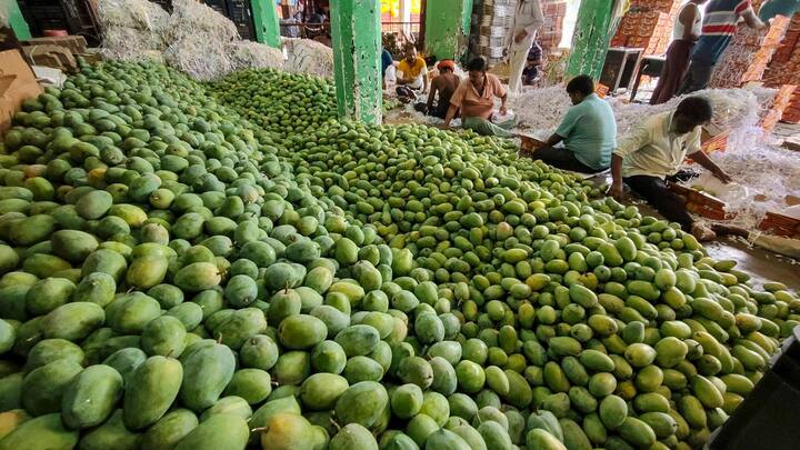 আবহাওয়া দফতরের পূর্বাভাস বলছে, সোমবার দক্ষিণবঙ্গে হালকা থেকে মাঝারি বৃষ্টির সম্ভাবনা রয়েছে।  ১৮ তারিখে থেকে বজ্রবিদ্যুৎ-সহ বৃষ্টিপাতের সম্ভবনা রয়েছে। বর্ষা ধীরে ধীরে অগ্রসর হচ্ছে। দিনের তাপমাত্রা ধীরে ধীরে কমবে।