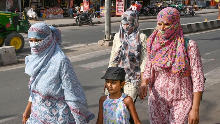 Pink Alert In Delhi As North India Sizzles Above 46° Celsius, Reduction Doubtless From June 19