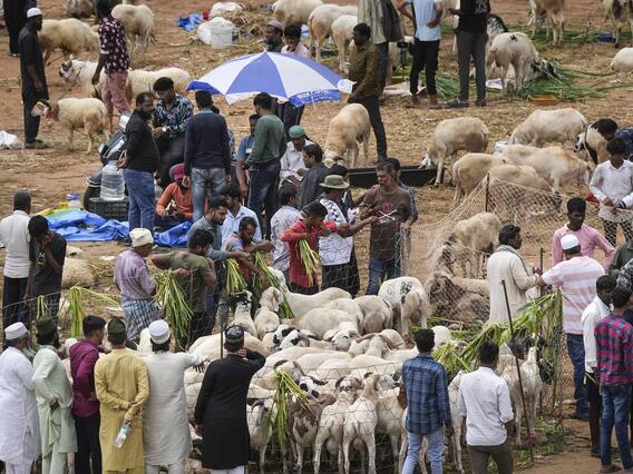 बकरीद में कुर्बानी में न करें ये काम? मौलाना ने दी हिदायत