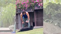 MS Dhoni: রাঁচির বাগানবাড়িতে কুকুরদের জন্য ধোনির ব্যবস্থা জানলে অবাক হতেই হবে