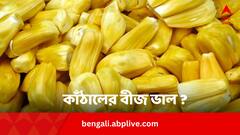 কাঁঠালের বীজ ফেলে না দিয়ে মুখরোচক পদ ? এই ক্ষতিকর দিকগুলি জেনে রাখা ভাল