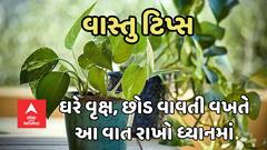 Vastu Tips: આ દિશામાં રાખેલા વૃક્ષ-છોડ વધારે છે તણાવ, ઘરમાં થાય છે લડાઈ-ઝઘડા