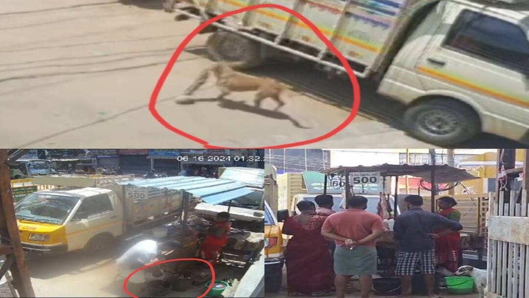 நாய் கடித்த கறியை மீண்டும் கழுவி விற்பனை செய்த கடைக்காரர்; சிசிடிவி  காட்சியால் சர்ச்சை