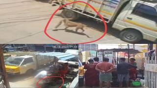 நாய் கடித்த கறியை மீண்டும் கழுவி விற்பனை செய்த கடைக்காரர்; சிசிடிவி  காட்சியால் சர்ச்சை