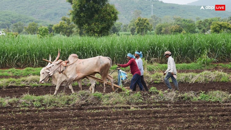 telangana cm revanth reddy farmers loan waive off ખેડૂતોને કોંગ્રેસની મોટી ભેટ, આ રાજ્યમાં 2 લાખ રૂપિયાની લોન માફ કરી, જાણો કોને મળશે ફાયદો