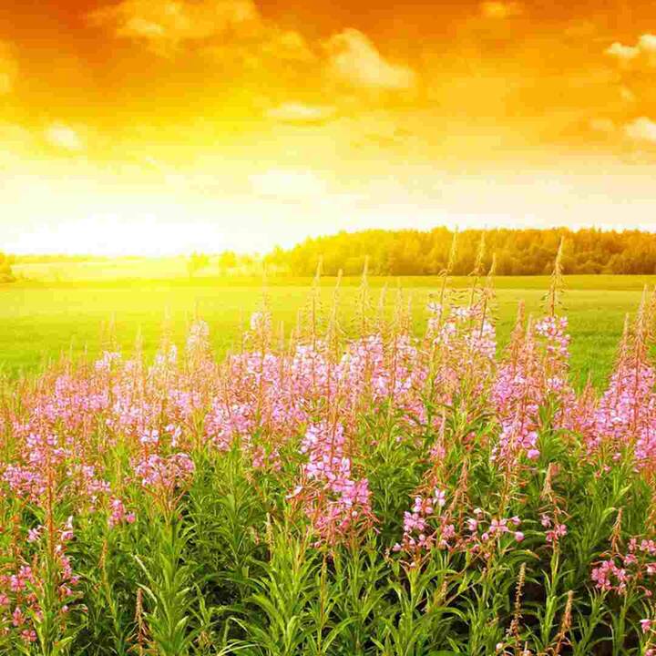 ਅਜਿਹੀ ਸਥਿਤੀ ਵਿੱਚ, ਆਪਣੇ ਆਪ ਨੂੰ ਵੱਧ ਤੋਂ ਵੱਧ ਹਾਈਡਰੇਟ ਰੱਖੋ। ਗਰਮੀਆਂ ਵਿੱਚ ਮੌਸਮੀ ਫਲ ਅਤੇ ਸਬਜ਼ੀਆਂ ਨੂੰ ਆਪਣੀ ਖੁਰਾਕ ਵਿੱਚ ਸ਼ਾਮਲ ਕਰੋ। ਮਾਹਿਰਾਂ ਦਾ ਕਹਿਣਾ ਹੈ ਕਿ ਗਰਮੀ ਦੇ ਮੌਸਮ ਦੇ ਹਿਸਾਬ ਨਾਲ ਆਪਣੀ ਜੀਵਨ ਸ਼ੈਲੀ ਰੁਟੀਨ ਨੂੰ ਬਦਲੋ।