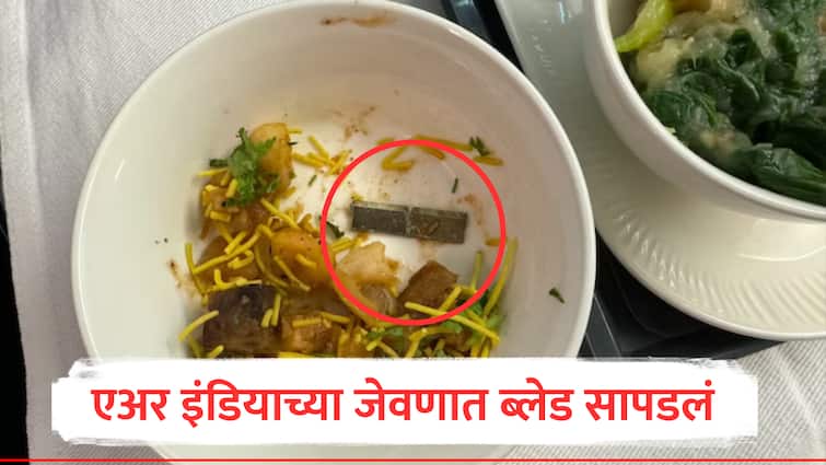 Air India passenger finds blade in his meal metal blade found in passengers food on air india flight airline issues statement  marathi news एअर इंडियाच्या जेवणात धारदार ब्लेड, भाजी चिरण्याच्या मशीनचा पार्ट थेट ताटापर्यंत; Video Viral