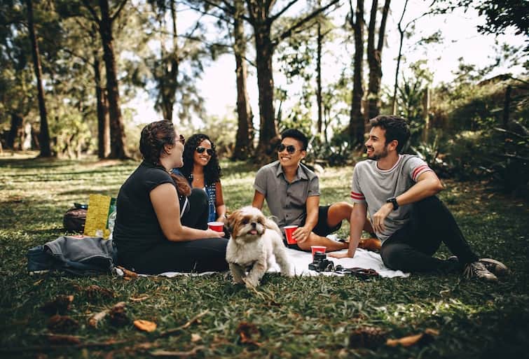 International Picnic Day : வார இறுதியில் பிக்னிக் போக போறீங்களா? இதை பாத்துட்டு போங்க!