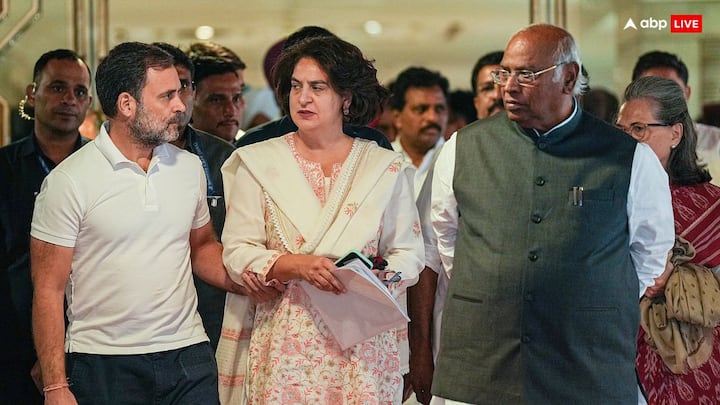 Priyanka Gandhi Vadra: प्रियंका गांधी 2019 में सक्रिय राजनीति में आईं. यूपी के अमेठी, रायबरेली और वाराणसी से उनके लड़ने पर अटकलें लगाई जाती रहीं. हालांकि, वह केरल के वायनाड से उप-चुनाव लड़ने वाली हैं.