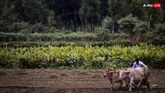 PM-Kisan Samman Nidhi: नौ करोड़ से अधिक किसानों की बल्ले-बल्ले! PM फिर देंगे सौगात, 20 हजार करोड़ से अधिक का मिलेगा लाभ