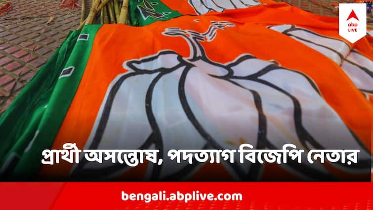 West Bengal By Election BJP Leader Resigns Protesting Outsider Candidate In Bagda By Election West Bengal By Election BJP : উপনির্বাচনেও প্রার্থী নিয়ে ক্ষোভ ! পদত্যাগ পত্র পাঠালেন বিজেপি নেতা