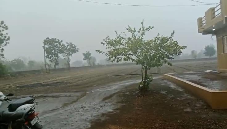 Rainfall in Rural areas of Dhari Gir  Amreli Rain: ધારી ગીરના ગ્રામ્ય વિસ્તારોમાં વરસાદ